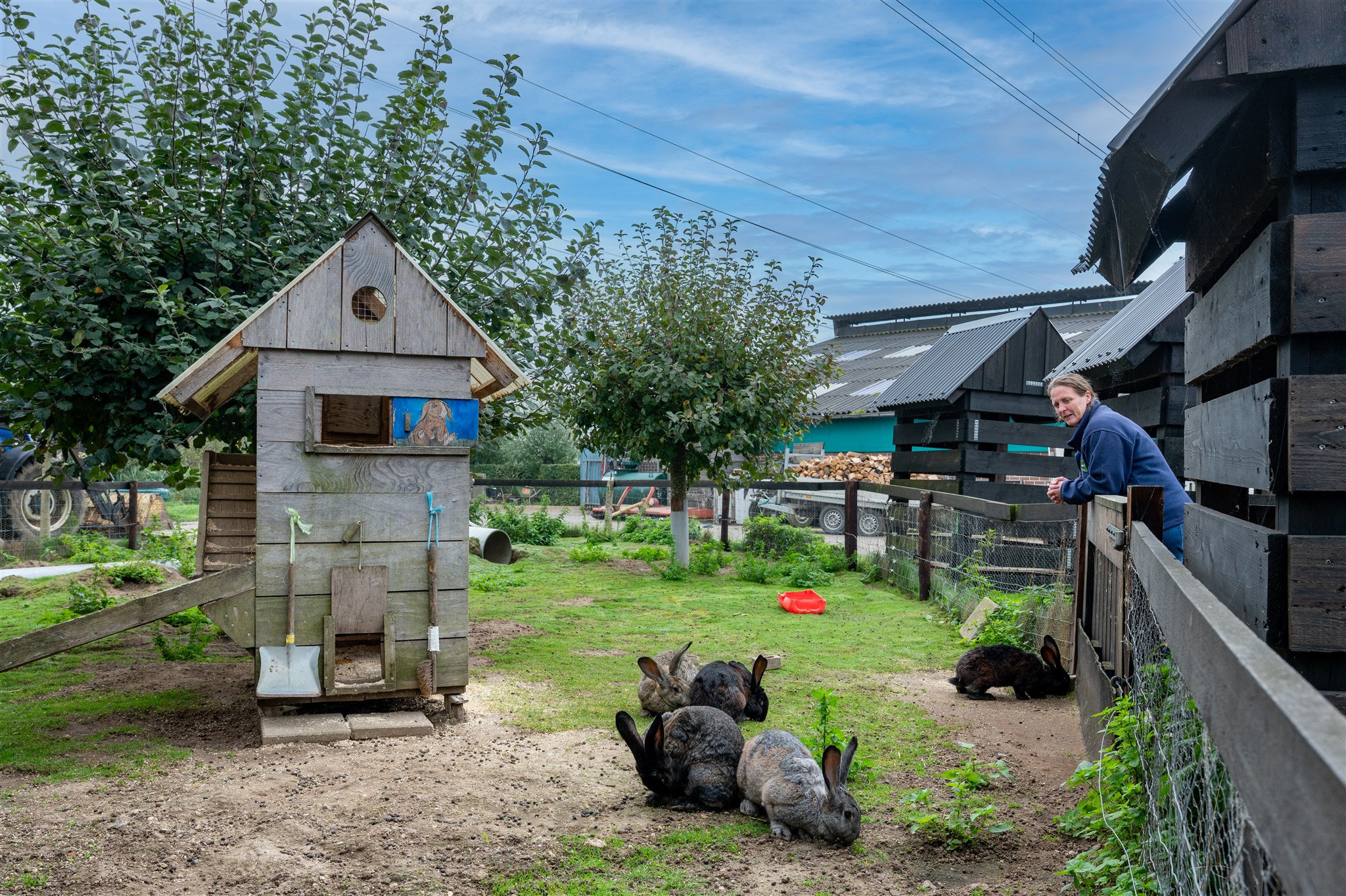 Boerderijactiviteiten met kippen bij De Boerderij