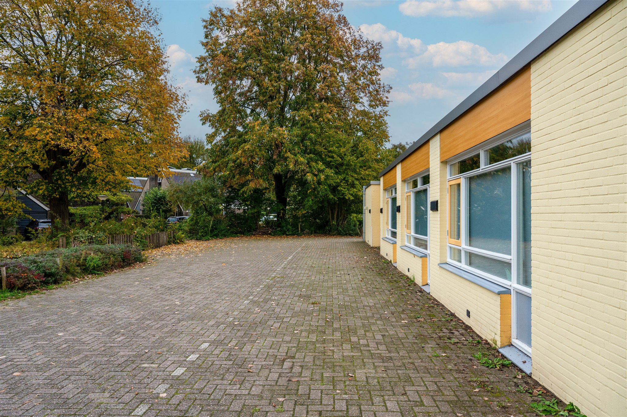 Transparant locatie - Pinksterbloem 25